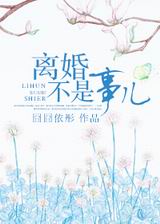 离婚不是事儿TXT全集封面