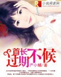首长过期不候TXT全集封面
