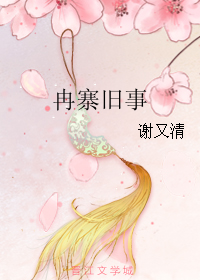 冉寨旧事TXT全集封面