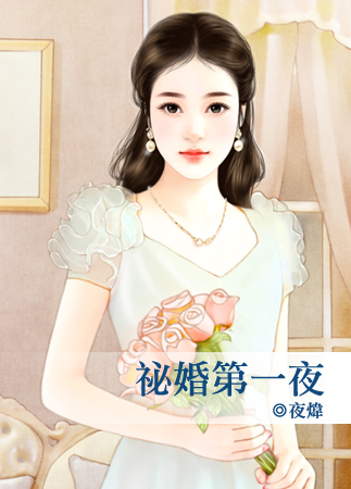 秘婚第一夜TXT全集封面