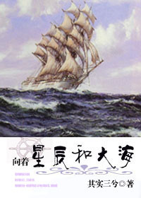 我的船长我的锚-向着星辰和大海TXT全集封面