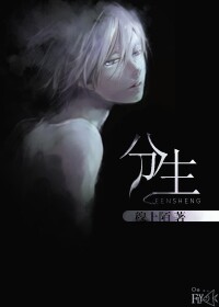 分生TXT全集封面