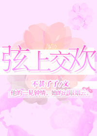 弦上交欢TXT全集封面