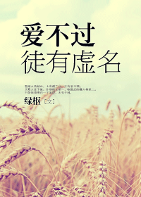 爱不过徒有虚名TXT全集封面