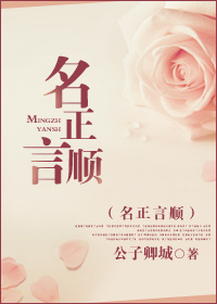 名正言顺TXT全集封面