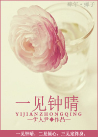 一见钟晴TXT全集封面