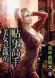 美女总裁的贴身高手TXT全集封面