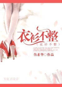 衣衫不整TXT全集封面
