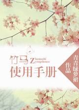 竹马使用手册TXT全集封面