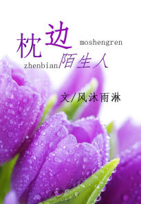 枕边陌生人TXT全集封面