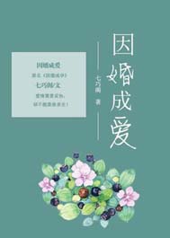 因婚成爱TXT全集封面
