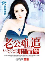 老公难追婚后爱TXT全集封面