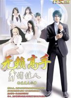无赖高手俏佳人TXT全集封面