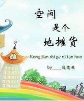 空间是个地摊货TXT全集封面