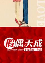 假偶天成TXT全集封面