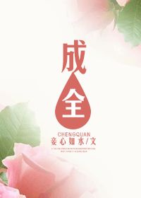 成全TXT全集封面