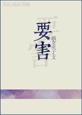 要害TXT全集封面