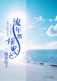 流年默相思TXT全集封面