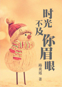 时光不及你眉眼TXT全集封面