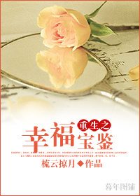 重生之幸福宝鉴TXT全集封面