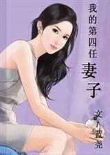 我的第四任妻子TXT全集封面