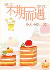 不期而遇TXT全集封面