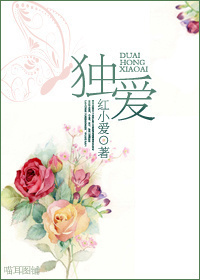独爱TXT全集封面