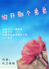 放开那个弟弟TXT全集封面