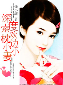 深度索欢:枕边小小妻TXT全集封面