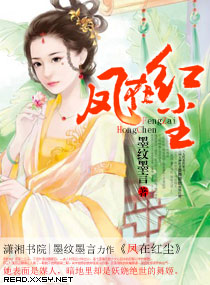 凤在红尘TXT全集封面