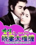 重生之娇妻太难缠TXT全集封面
