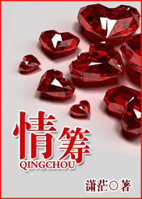 情筹TXT全集封面