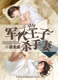 军火王子杀手妻TXT全集封面