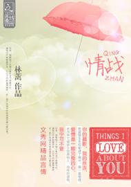 情战TXT全集封面