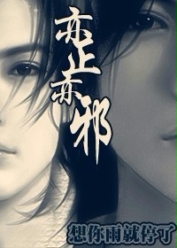 亦正亦邪TXT全集封面