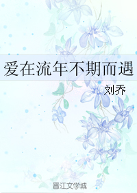 爱在流年不期而遇TXT全集封面