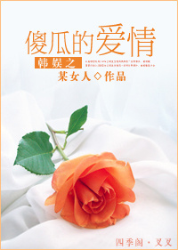 韩娱之傻瓜的爱情TXT全集封面