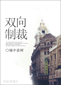 双向制裁TXT全集封面