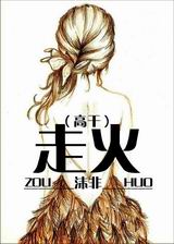 走火(高干)TXT全集封面