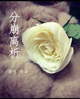 分崩离析TXT全集封面