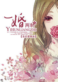 一婚两制TXT全集封面