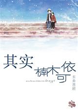 其实,楠木可依TXT全集封面