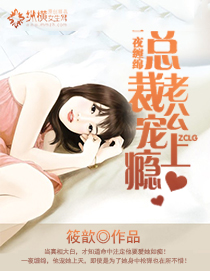 总裁老公宠上瘾TXT全集封面