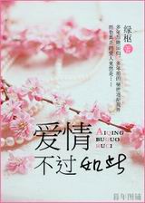 爱情,不过如此TXT全集封面
