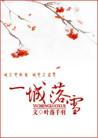 一城落雪TXT全集封面