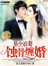 慕少追妻之盛世婚宠TXT全集封面