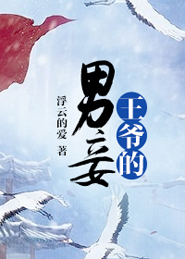 王爷的男妾TXT全集封面