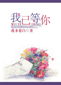 我已等你TXT全集封面