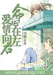 命运在左,爱情向右TXT全集封面