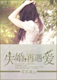 失婚,再遇爱TXT全集封面